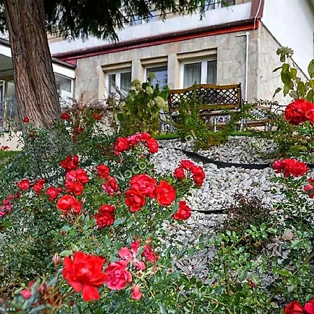 Sokolica Krynica Zdroj