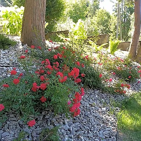 Sokolica Feriested Krynica Zdroj