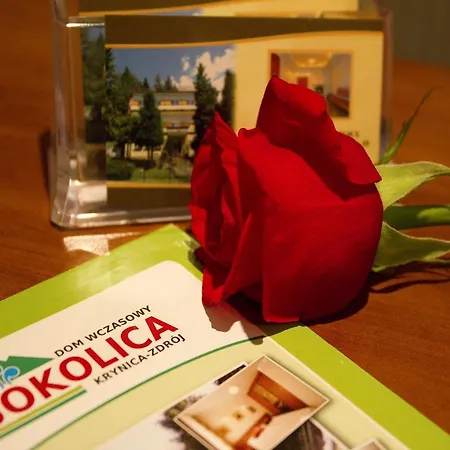 Semesteranläggning (resort) Sokolica Krynica-Zdrój